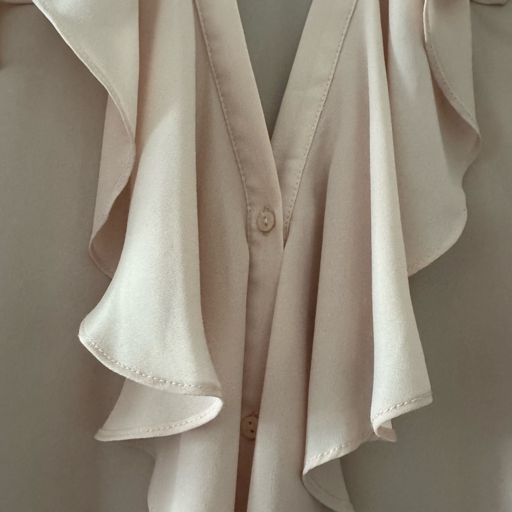 Zara Blush Ruffled Blouse - Picture 8 of 8